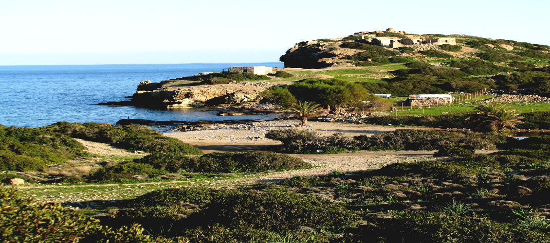 palekastro activities