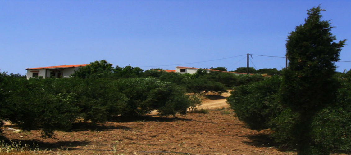 sunrise apartments palekastro location