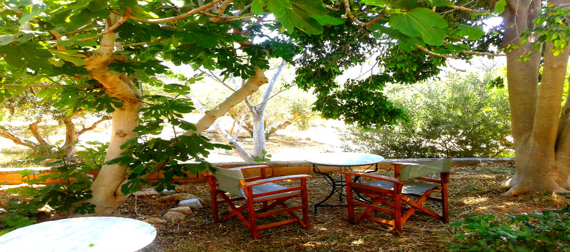 sunrise apartments palekastro prices