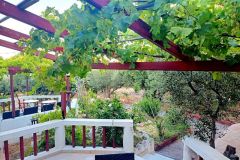 the-yard